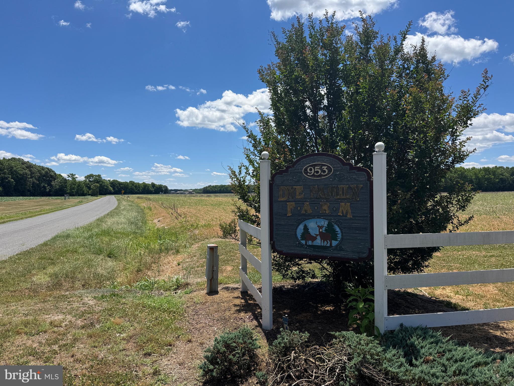 953 WHITE MARSH BRANCH ROAD