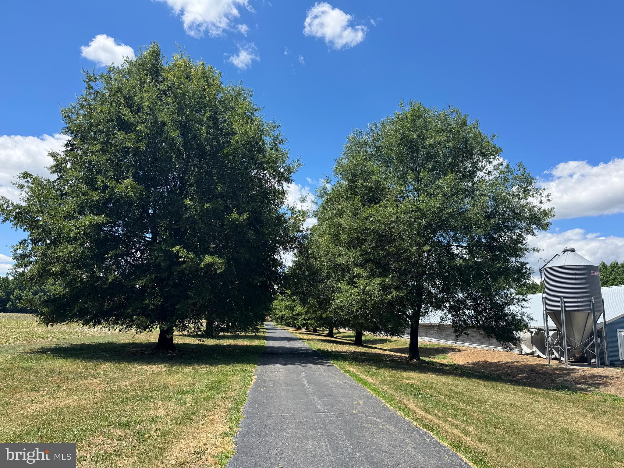 953 WHITE MARSH BRANCH ROAD