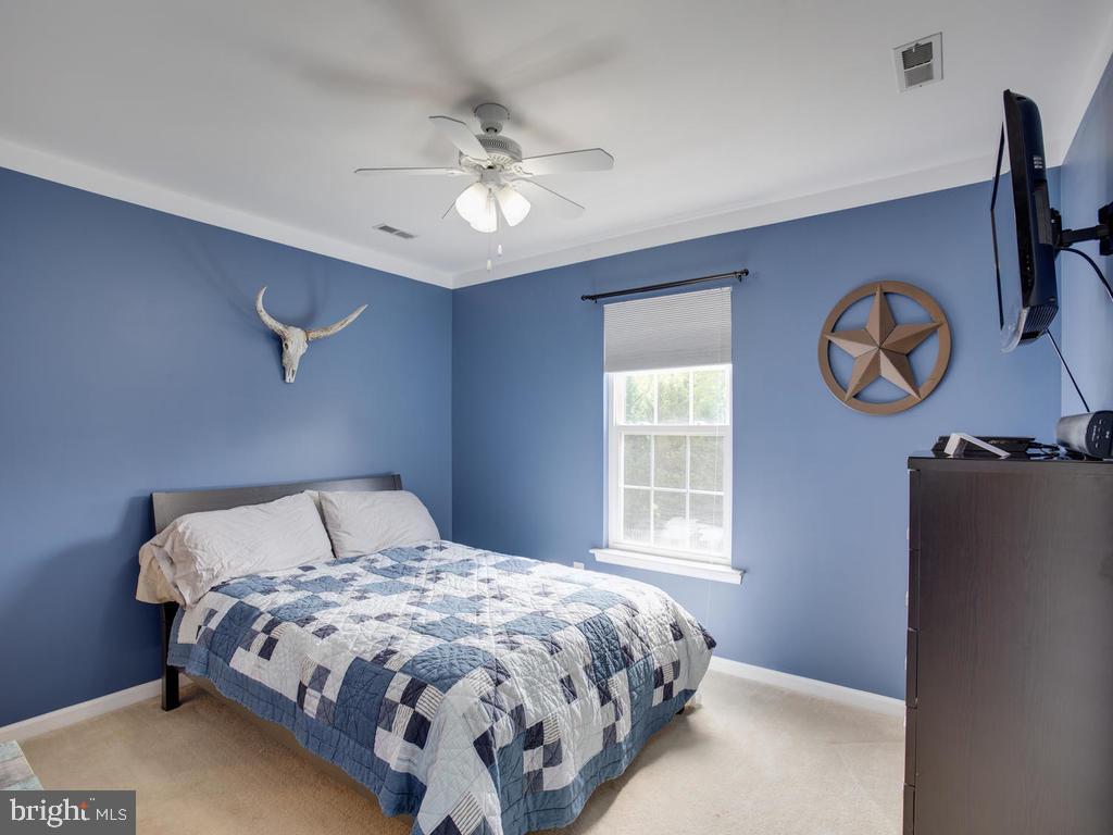 MILLS POND - Residential