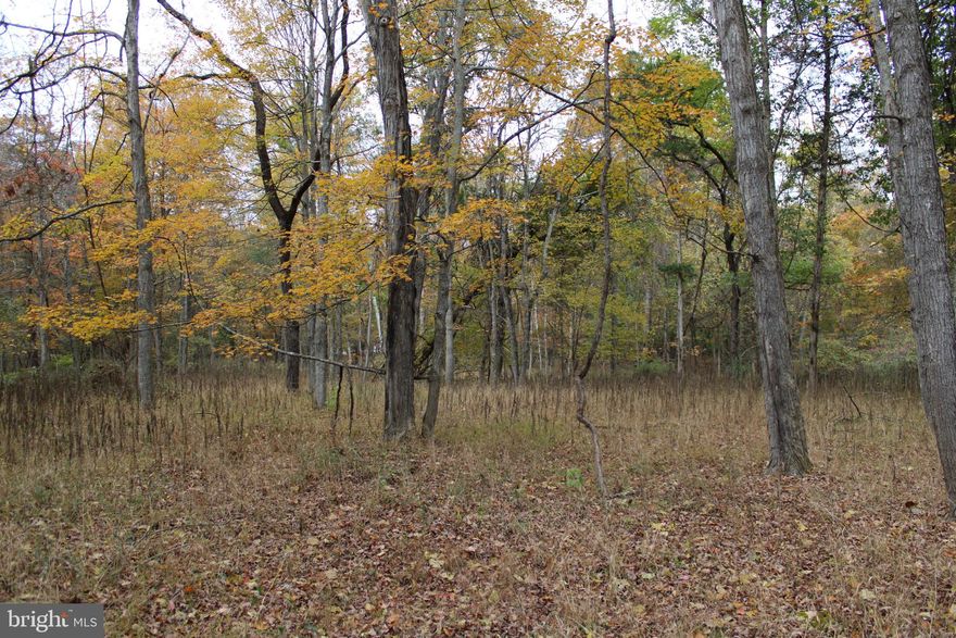 Nestled in the breathtaking mountain landscape of West Virginia, this stunning 30.36 acre tract of land offers an exceptional opportunity to own a piece of paradise in a secure gated community. The property boasts incredible mountain seclusion and easy subdivision access to the vast 10,000+ acres of the Nathaniel Mountain Wildlife Management Area, providing ample opportunities for outdoor recreation, including hunting, hiking, camping, and wildlife viewing. Comprised of a beautiful successional forest, featuring a seamless blend of majestic hardwoods, dense pines, and the ultra-rare twinkling mountain stream. Whether you're seeking a peaceful retreat or a place to build your mountain dream home, this property offers the perfect canvas for your vision. Imagine waking up each morning to stunning views of the surrounding mountains and spending your days exploring the natural beauty of the area. Located just two hours from Washington, DC, this desirable location offers the perfect balance of seclusion and convenience. Don't miss out on this incredible opportunity to own a piece of West Virginia mountain paradise!