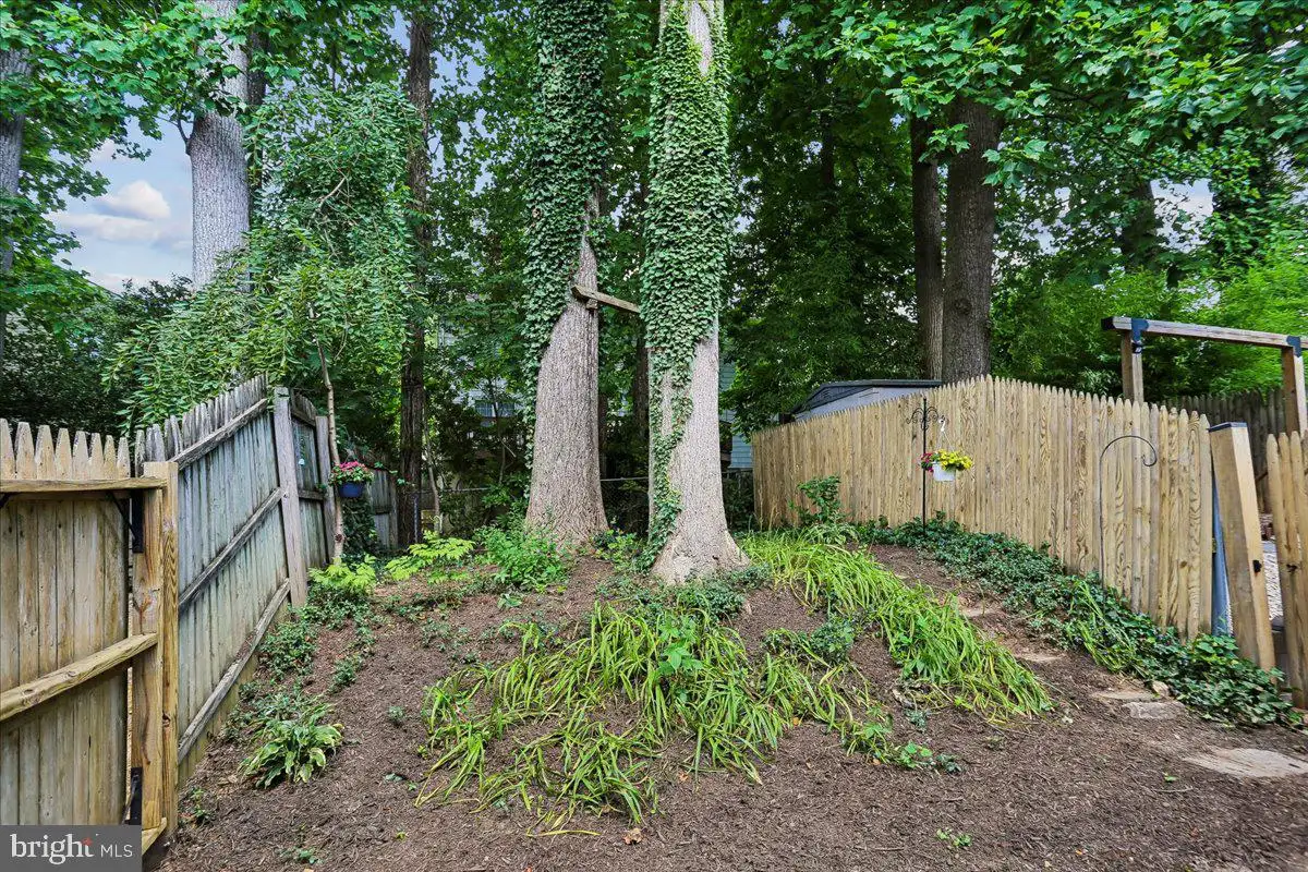 Additional image 78 of 4927 Arctic Terrace, Rockville, MD 20853