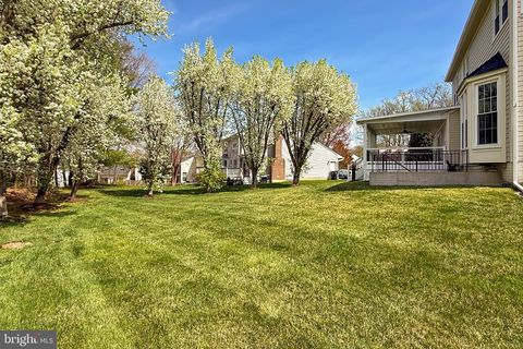 listing image 55