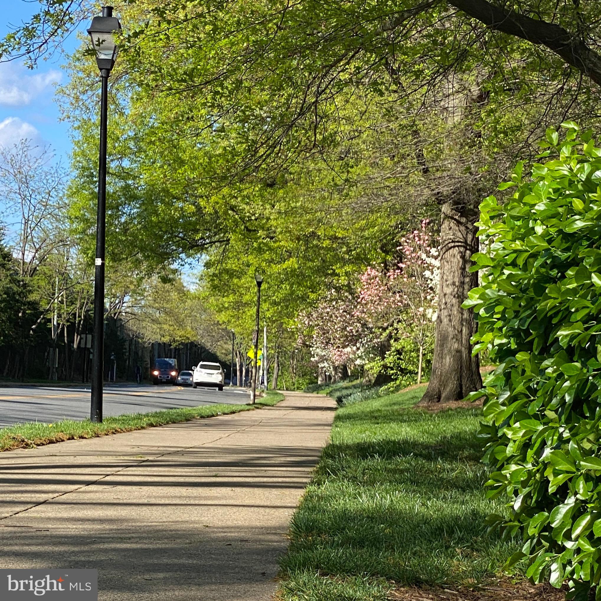 ARLINGTON RIDGE - Residential Lease