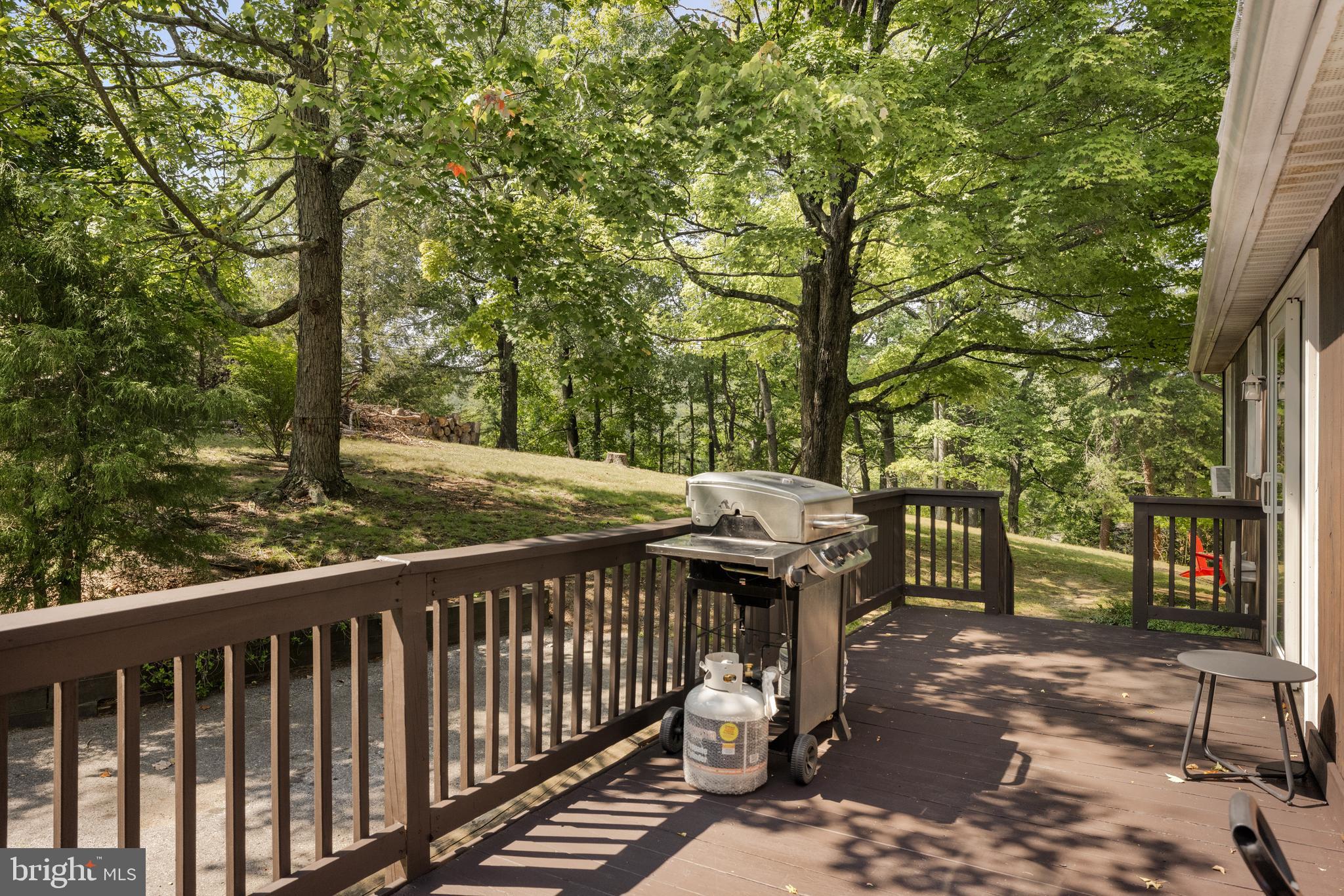 BERKELEY SPRINGS - Residential