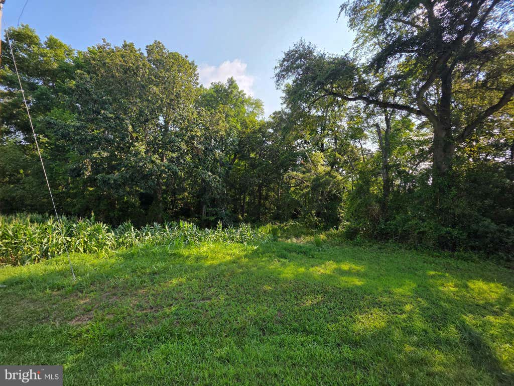 Photo of Tbd Lot B Phillips Rd, SELBYVILLE, DE 19975 (MLS # DESU2116840)