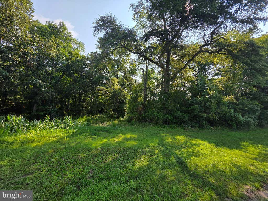 Photo of Tbd Lot B Phillips Rd, SELBYVILLE, DE 19975 (MLS # DESU2116840)