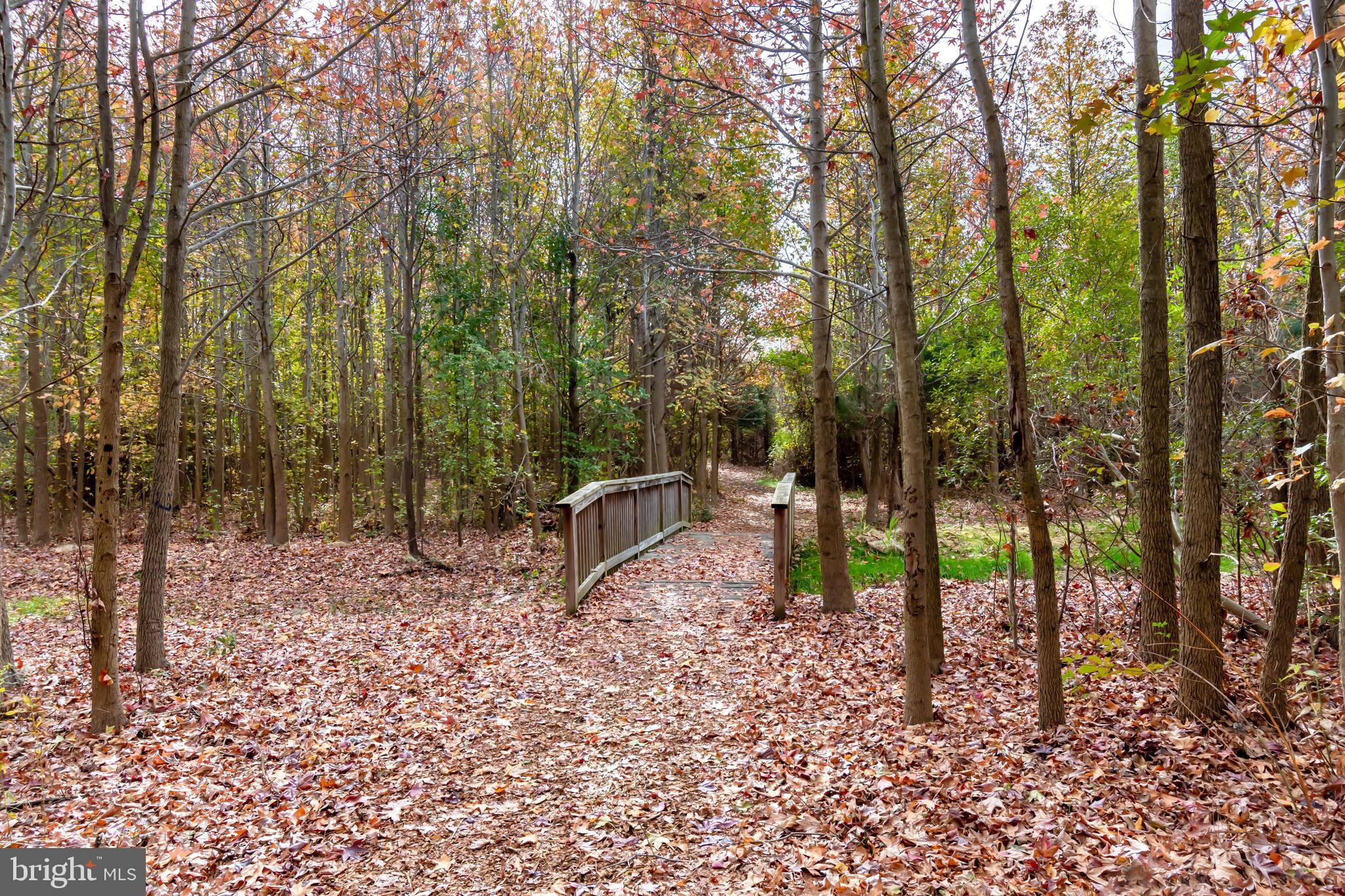 ELLENDALE - Residential