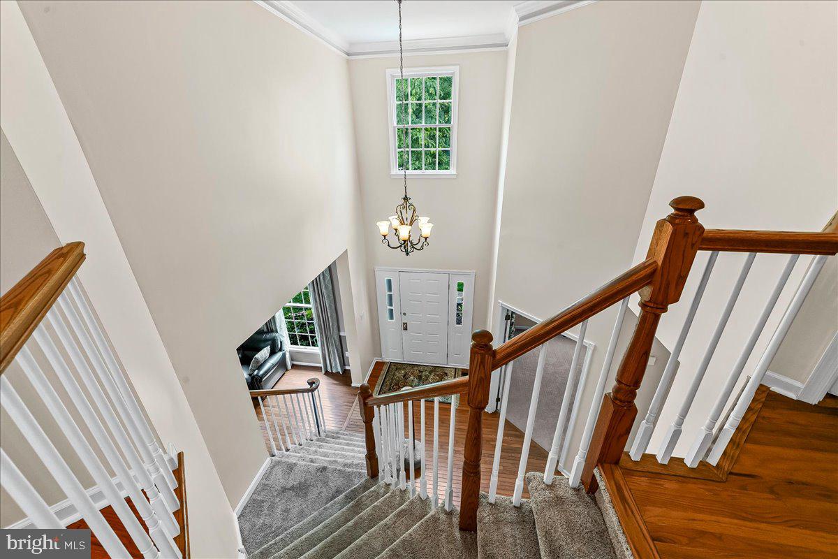 WILLOWDALE CROSSIN - Residential
