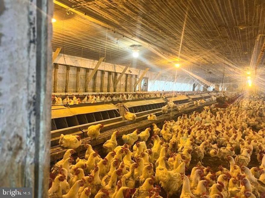 PILGRIM'S PRIDE GRADE A CHICKEN FARM.  JUST GOT A RAISE PER DOZEN FROM FROM PILGRIM'S PRIDE.  GREAT 20 PT. GRADING!  FREE-RANGE CHICKENS BREEDER with  (2) 48' x 250' houses. Commercial Poultry Houses. ON-SITE CO-OWNER TO OVERLOOK THE OPERATION DAILY.  Built 1990.  HOME PLACE ON SEPARATE / ADJOINING LOT!  FIBER OPTICS! NO CONCERNS OF LOSS /DOWN TIME  FOR COMMUCATIONS!! Total of 3.84 acres. (2 Deeds combining 2.83 Ac. with 1.01 Ac.) New feed houses and bulk tanks in 2014. Grade A Updates in completed in 2023. Calling System Alarms.  55KW Automatic Generator with Generator building attached to chicken house # 1 (also includes the home. Chore Tronics 2 computer system. Double belt egg collection systems with lock-outs on computer timers. Attic inlets.  Public water in chicken houses with back-up well / tunnel cool cell.  OPTIONAL: 2014 Skyline Doublewide 28' X 52'.  3 BD w/ 2.5 BA. Laundry Rm.  Open floor plan for Living / Dining/ Kitchen. Septic system and Public water, throughout Hardy County. Property is fenced.  Turn-Key Money Making Operation!  Just off of Corridor-H, for great access for commercial business.  PILGRIM'S PRIDE OPERATIONS ARE TOP OF THE LINE / MASS PRODUCTIONS IN HARDY COUNTY, WV!!  GREAT ACCESS OFF CORRIDOR-H HIGHWAY FOR EASE OF TRANSPORT. JUST OUTSIDE OF MOOREFIELD,  WV! LOOKING FOR A PROFITABLE INVESTMENT BUSINESS, WITH WV LOW TAXES?  YOU JUST FOUND IT!