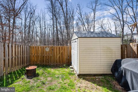 listing image 50