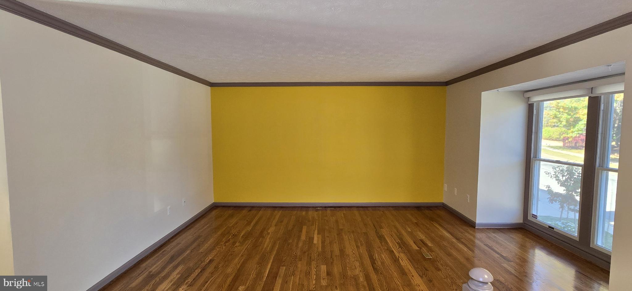 DORSEY SEARCH - Residential Lease