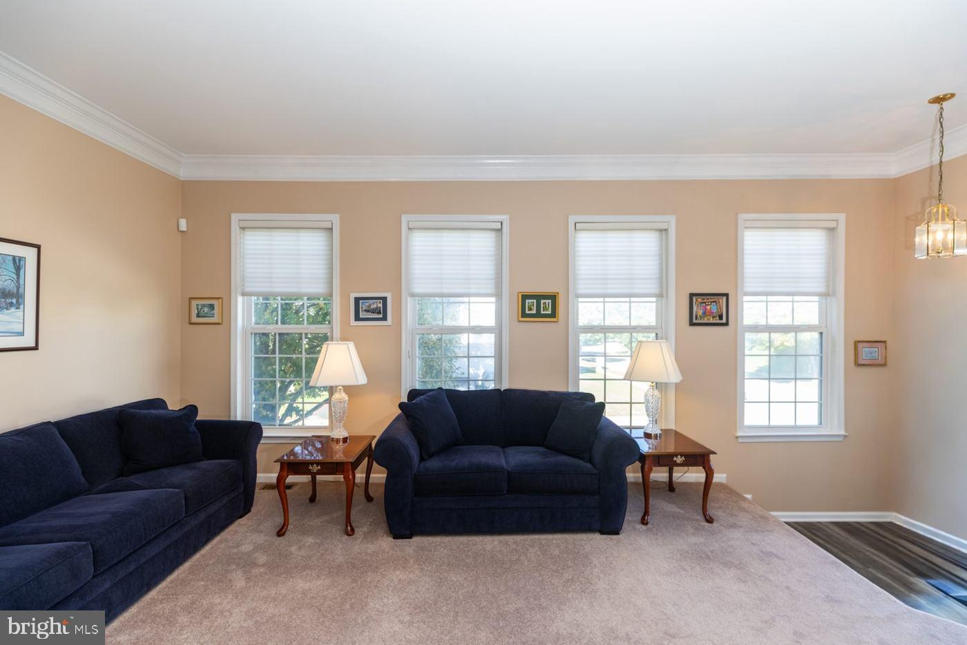 701 W OAKMEADE DRIVE