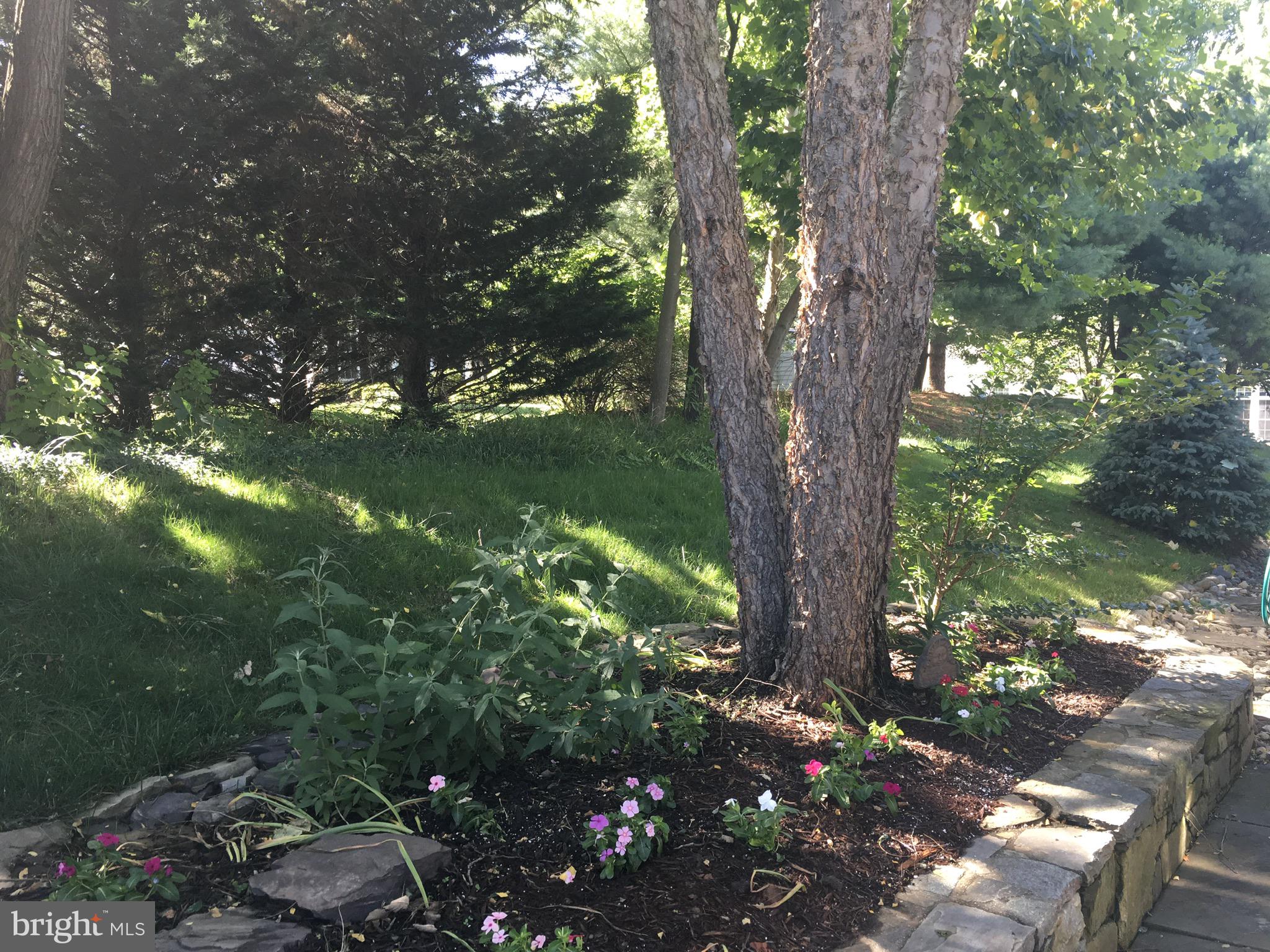 REGENCY AT LEISURE WORLD - Residential