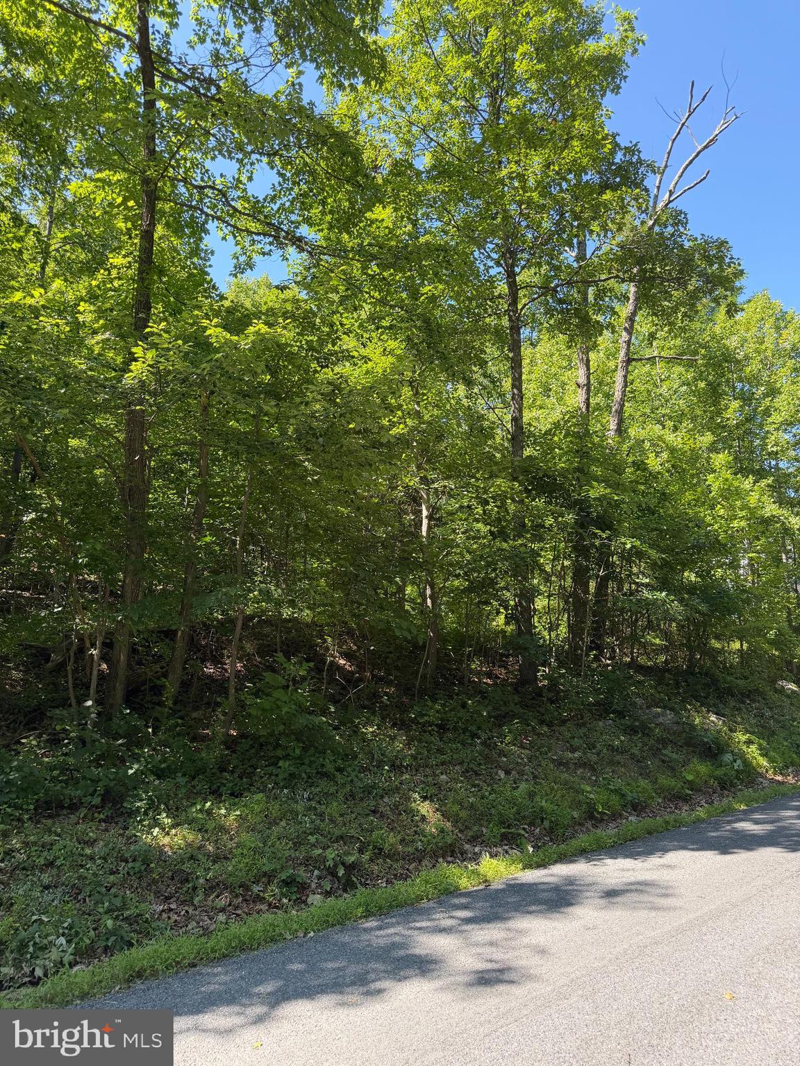 0 TOMAHAWK TRAIL LOT 99