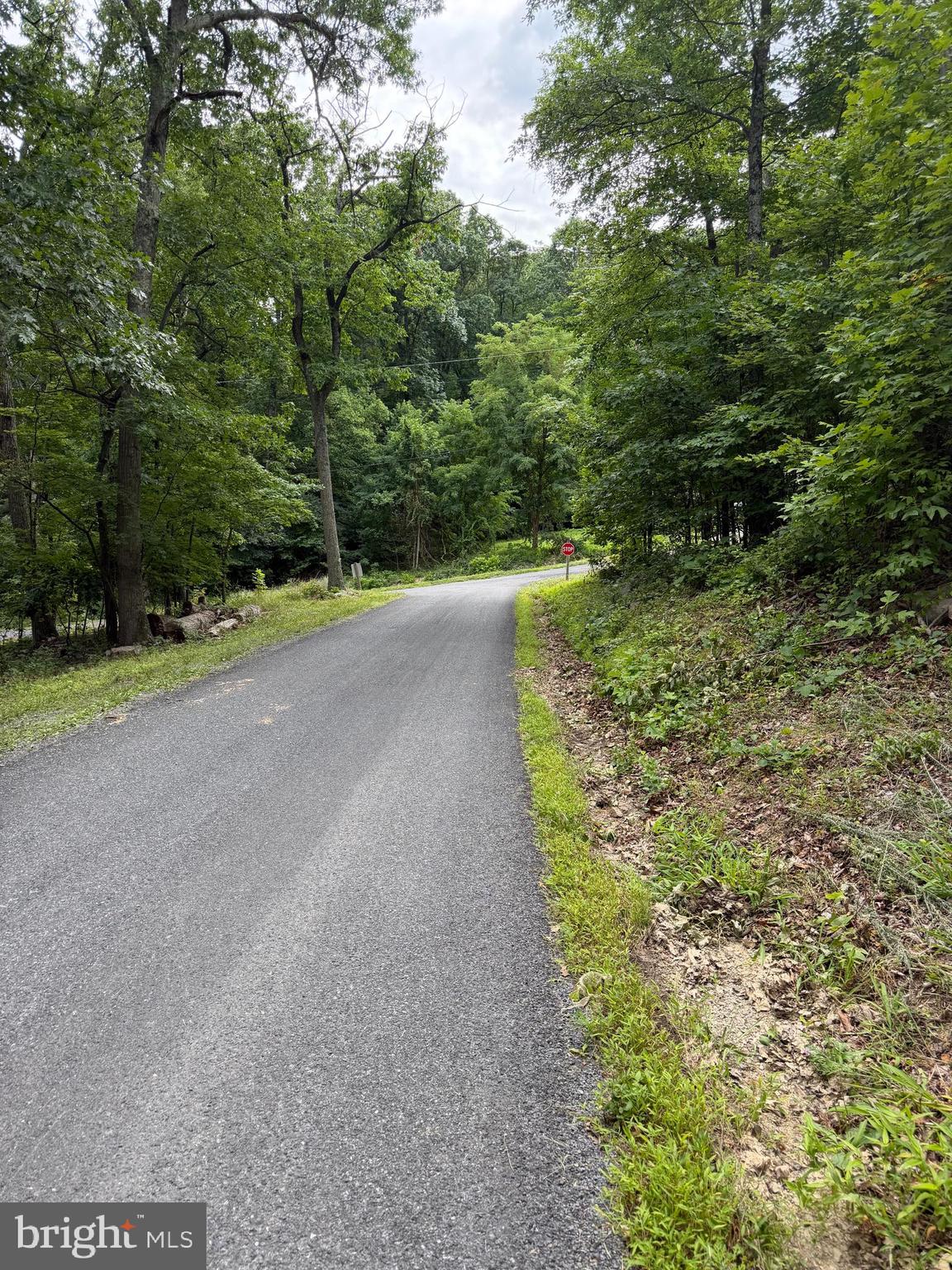 0 TOMAHAWK TRAIL LOT 99