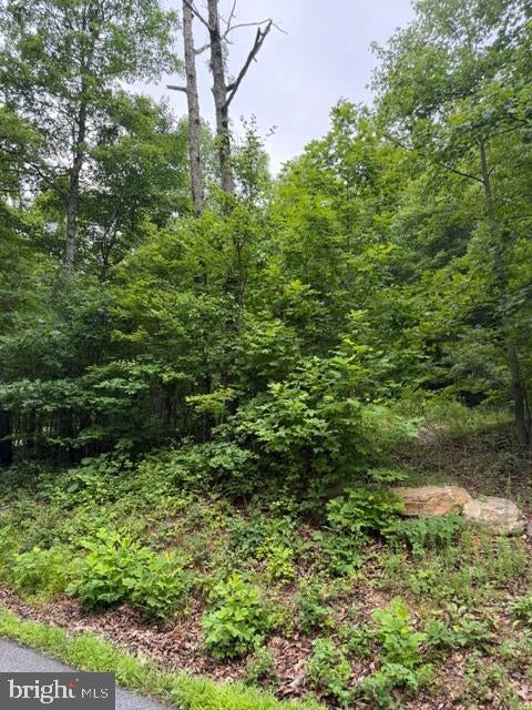 0 TOMAHAWK TRAIL LOT 99