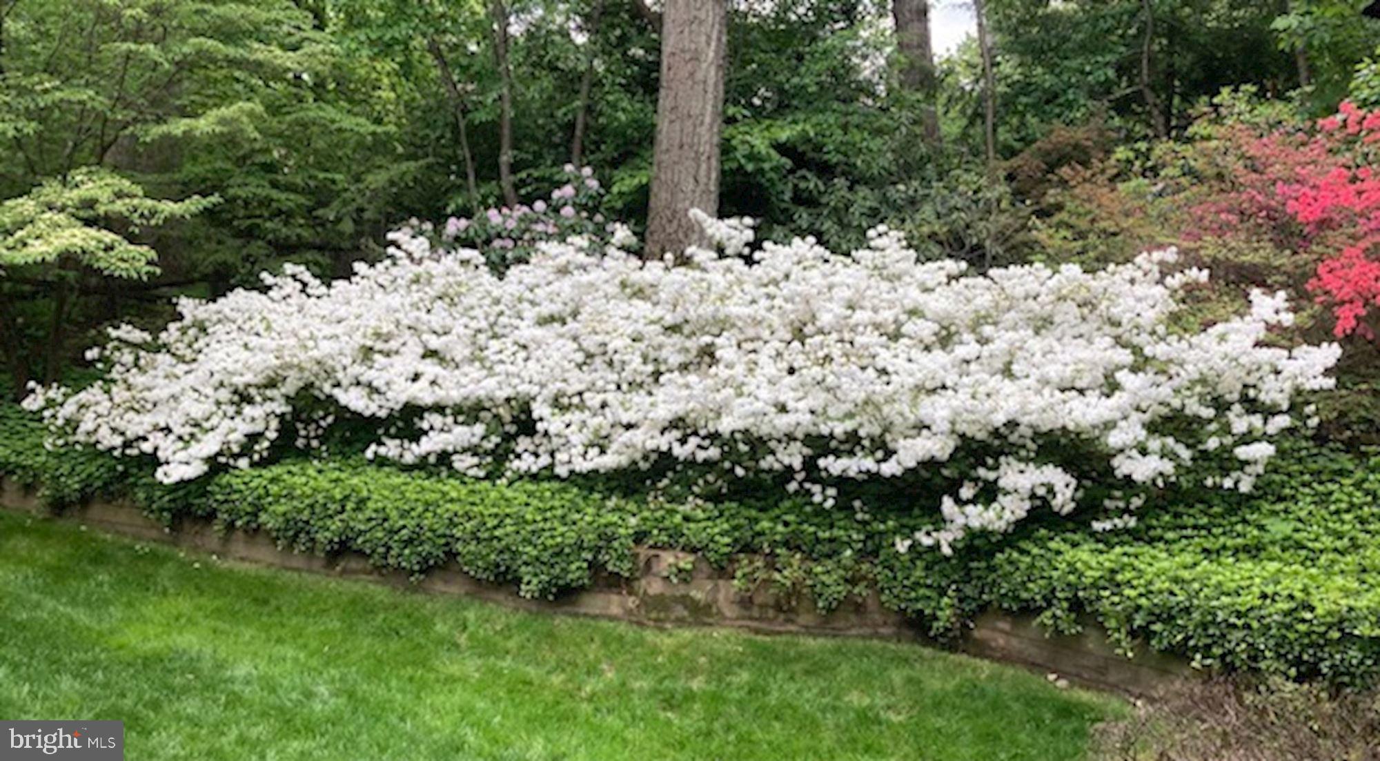 WOLF TRAP WOODS - Residential