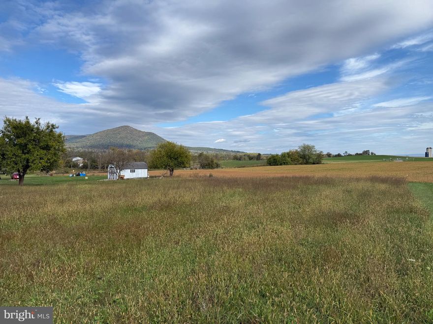 Bring your builder and start planning your dream home on this beautiful 0.71-acre lot!  Nestled in a quiet country setting, this property offers peaceful surroundings while still being just a short drive to town and all local amenities.  The lot backs up to a picturesque corn field with stunning mountain views, creating the perfect backdrop for your future home.  Public water and sewer hookups are available, and the lot is ready for construction.  The right side of the property includes a gas pipeline easement, but there’s still plenty of space to design and build the home you’ve always envisioned.  Don’t miss this opportunity to own a beautiful piece of land in a serene location.