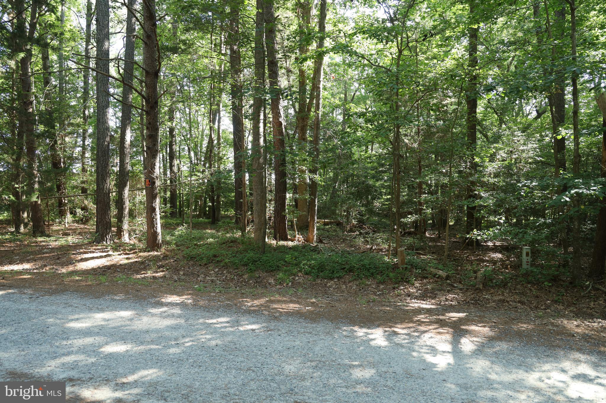 NONE AVAILABLE - Land