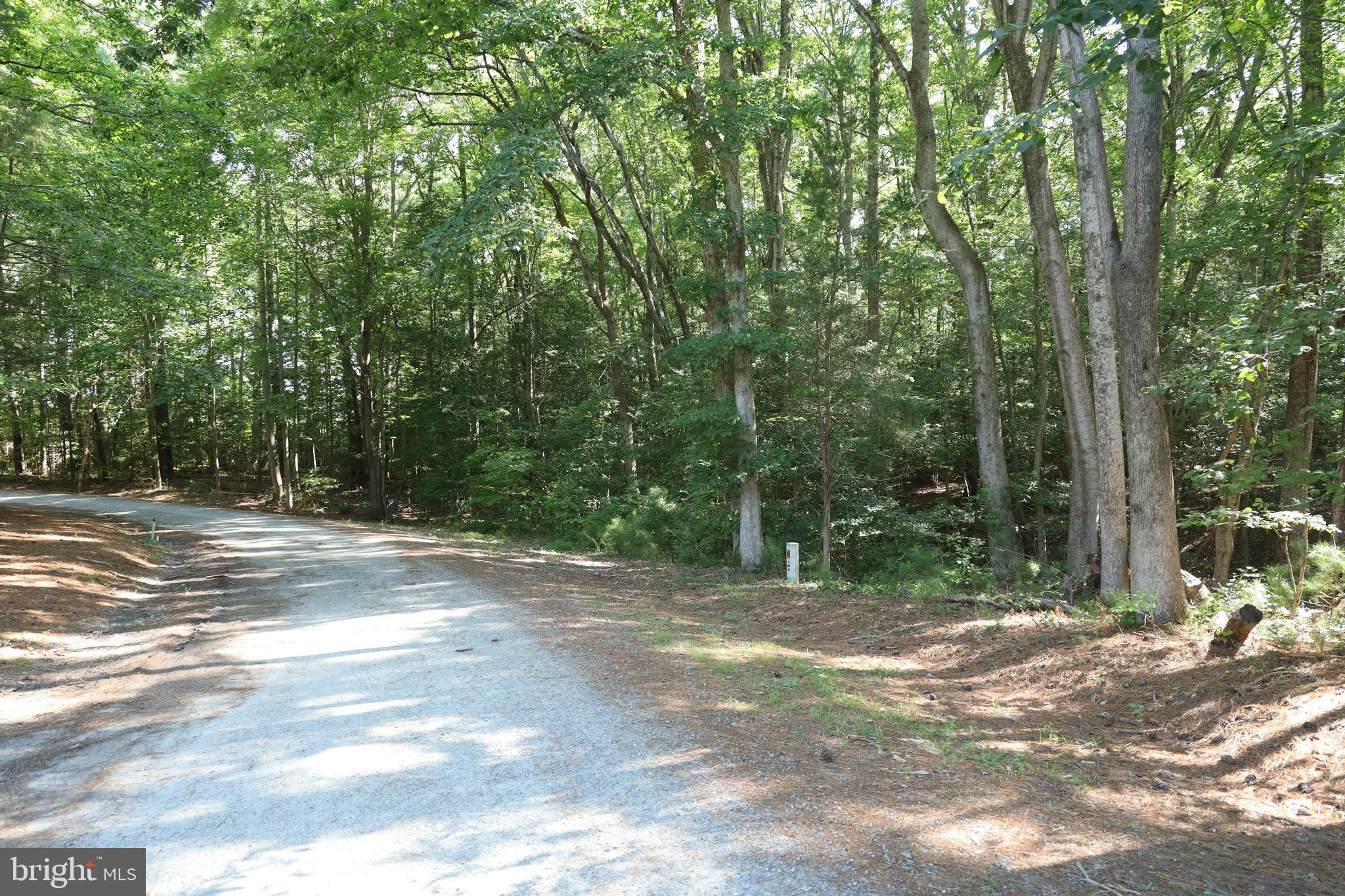 NONE AVAILABLE - Land