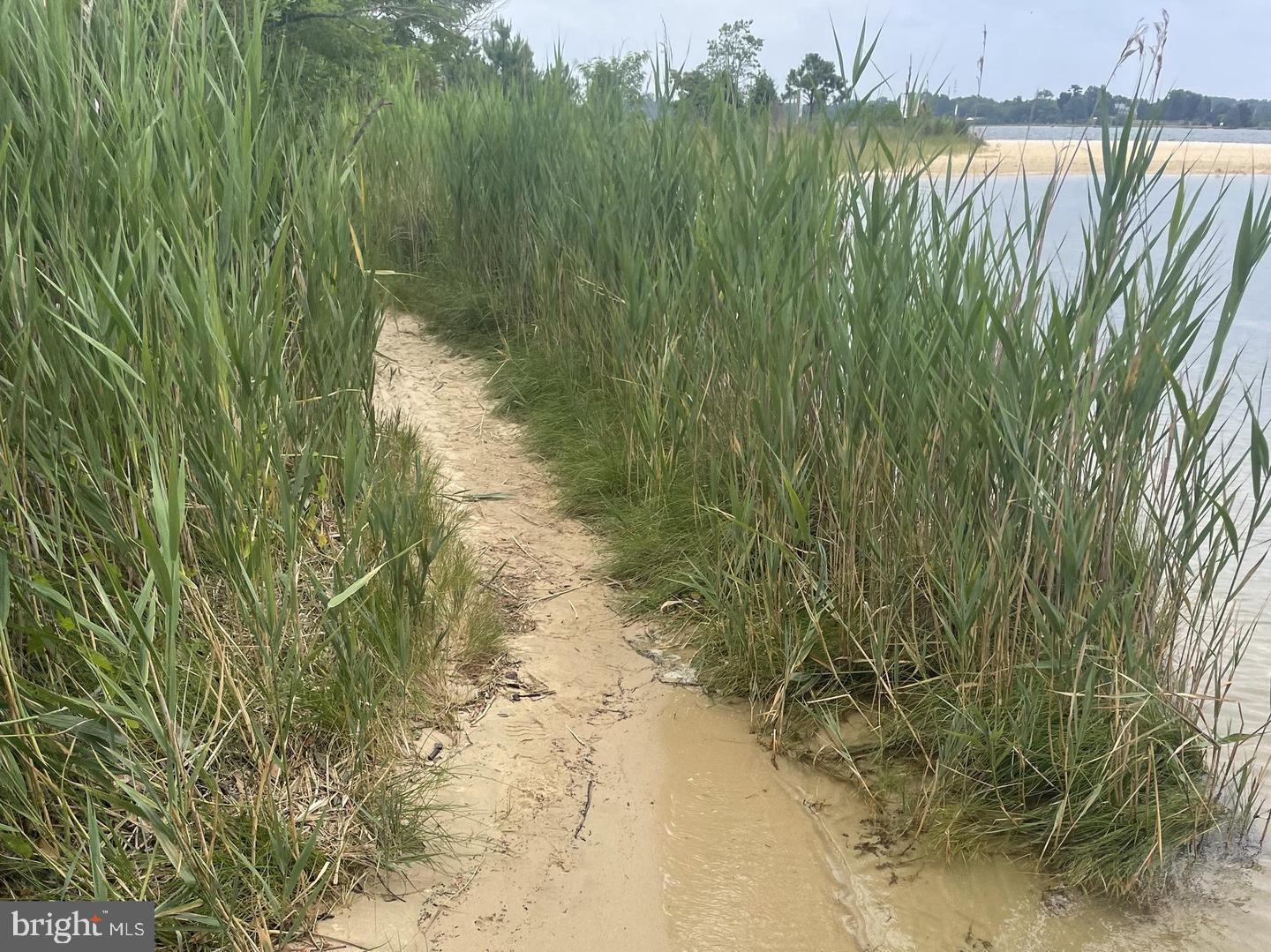 THE WOODS AT MYRTLE POINT - Residential Lease