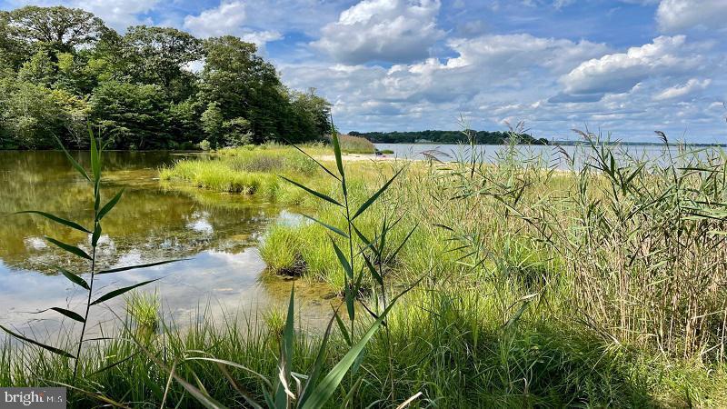 THE WOODS AT MYRTLE POINT - Residential Lease