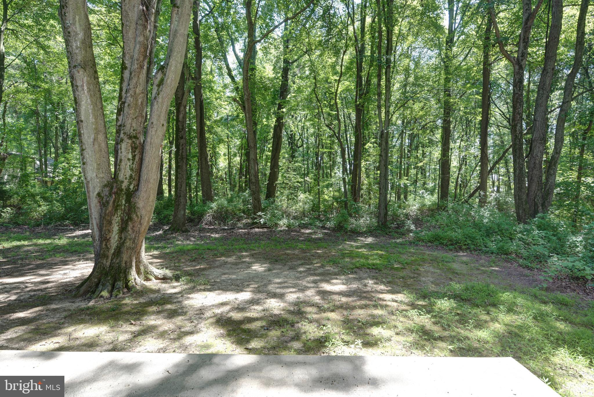 TOLCHESTER ESTATES - Residential