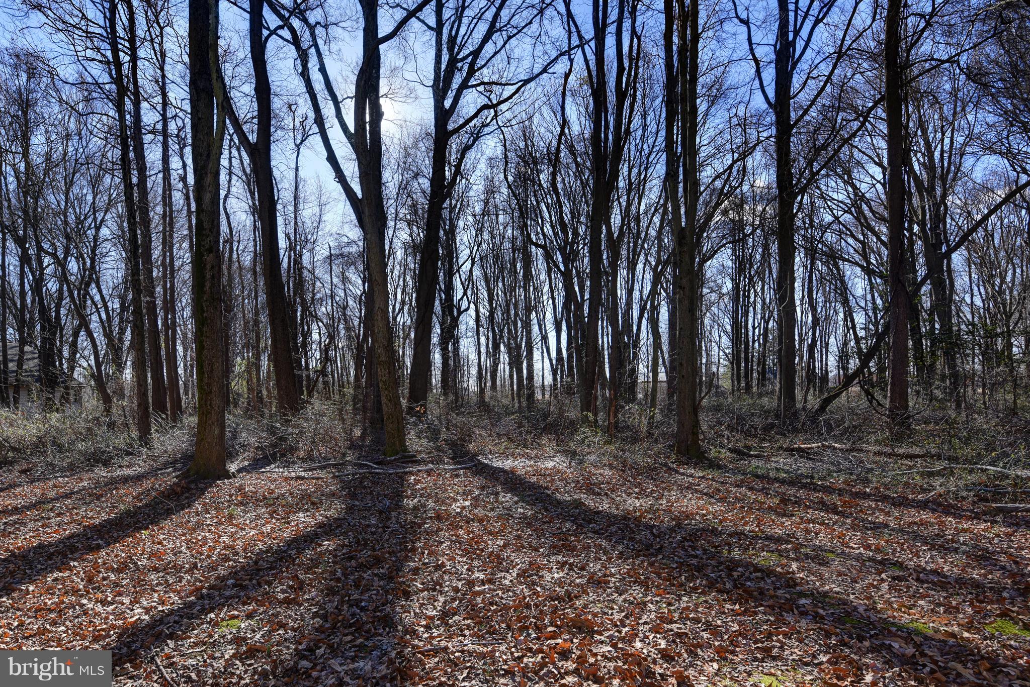 TOLCHESTER ESTATES - Residential