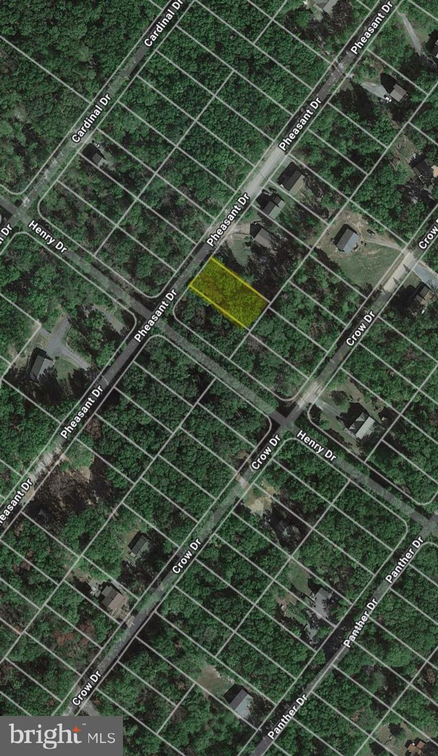 This is a fantastic opportunity to own a serene 1/4-acre parcel in the charming and peaceful Wilde Acres / Mt Falls community. Situated at 704 Pheasant Dr, this property offers easy road frontage and convenient access to Winchester, Strasburg, the Shenandoah Valley, and a variety of outdoor activities. Whether you're looking for a weekend getaway, a vacation retreat, or a private year-round residence, Wilde Acres/ Mt Falls provides the ideal setting. Enjoy an array of community amenities, including a private lake for relaxing and fishing, a playground, picnic pavilion, and courts for basketball and volleyball. For more details about the community, including covenants and HOA fees, please visit the Wilde Acres Property Owners Association website.