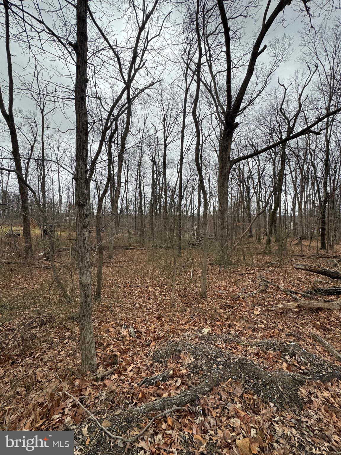 WILDE ACRES/ MTN FALLS - Land