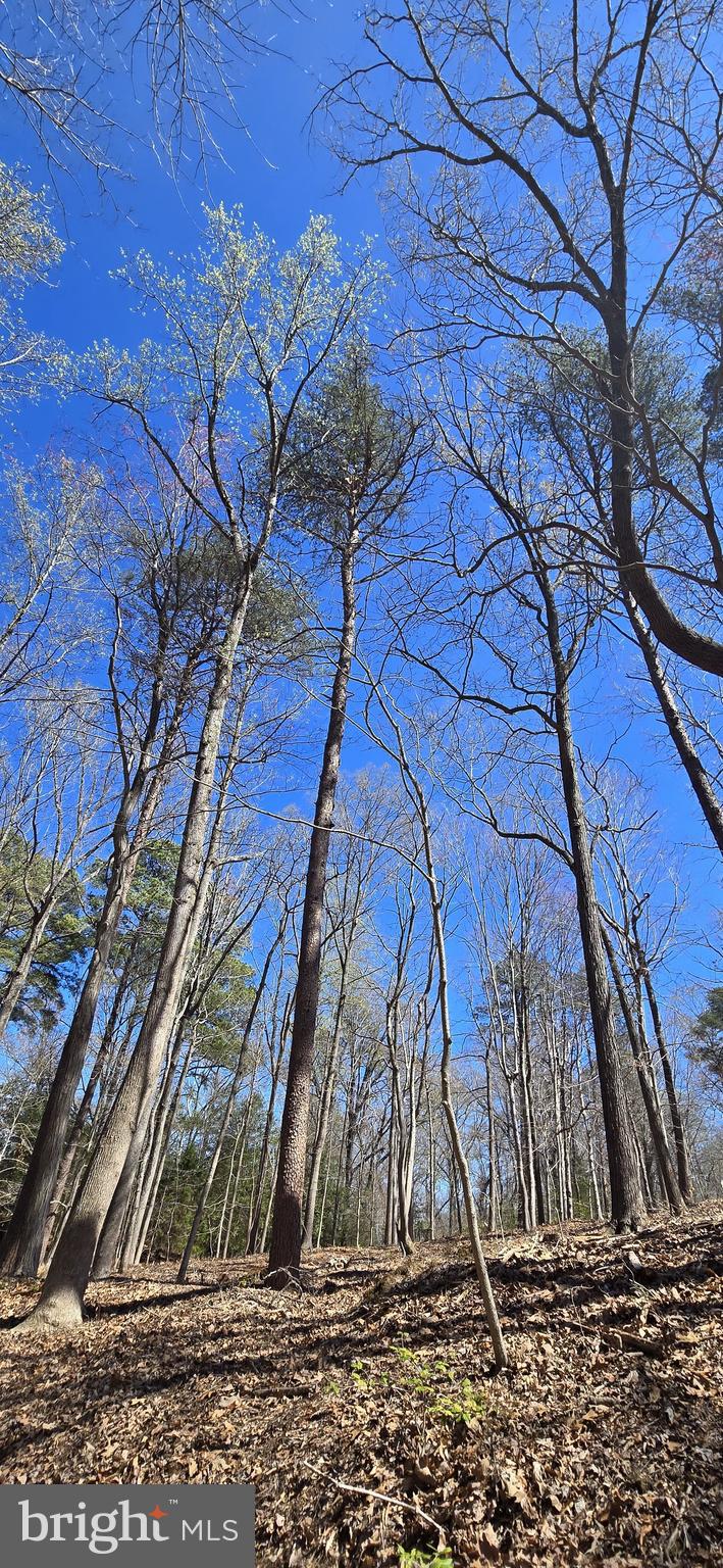 DRUM CLIFFS - Residential