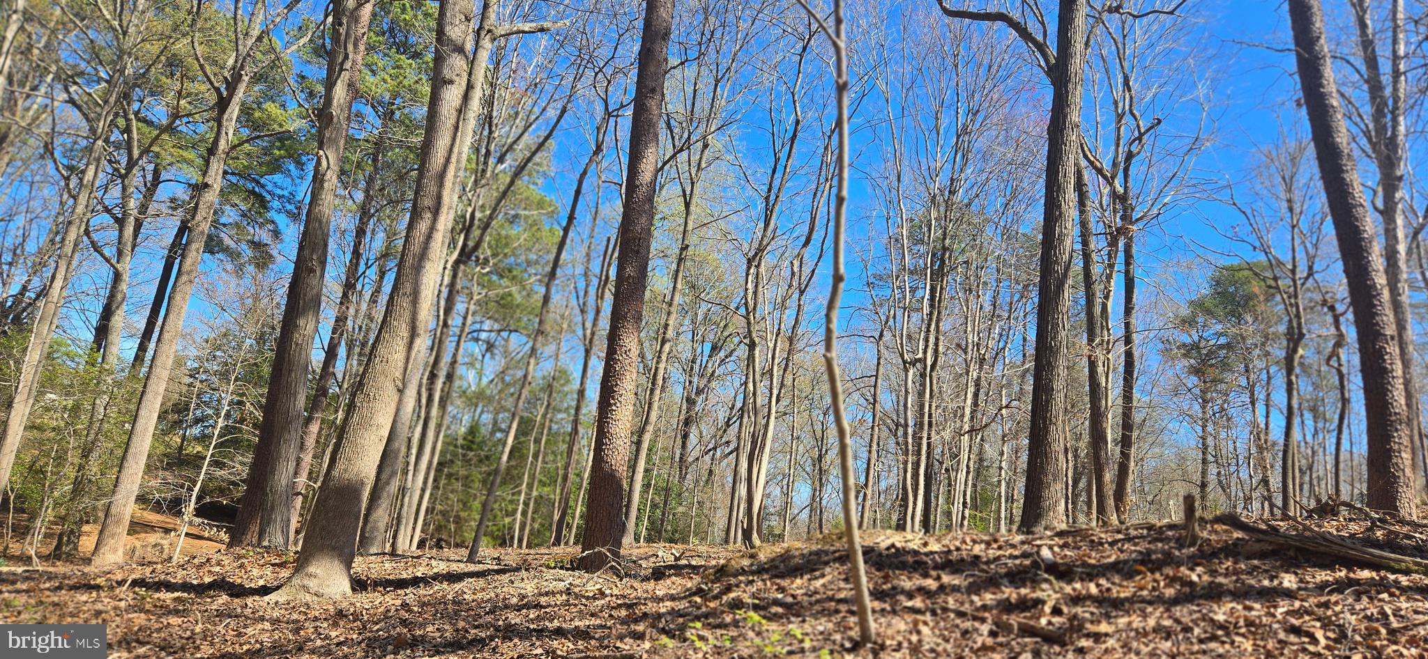 DRUM CLIFFS - Residential