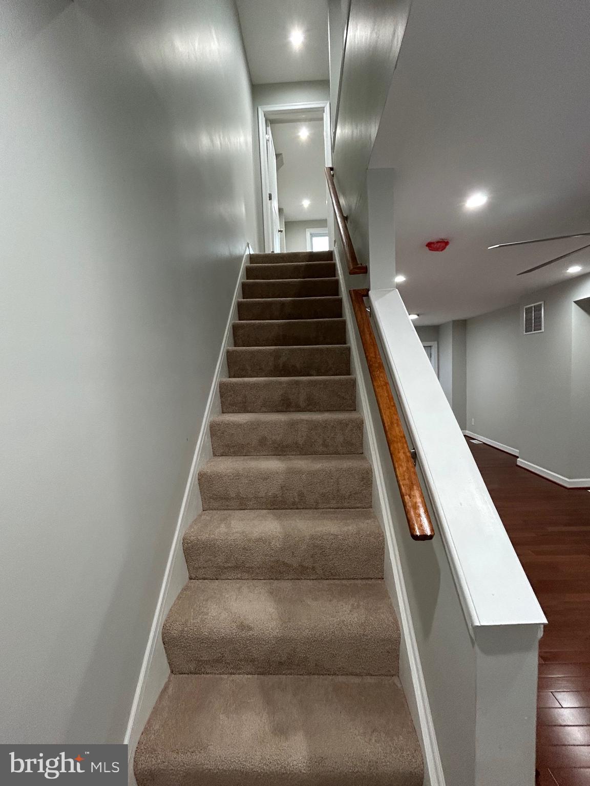 VIOLETVILLE - Residential