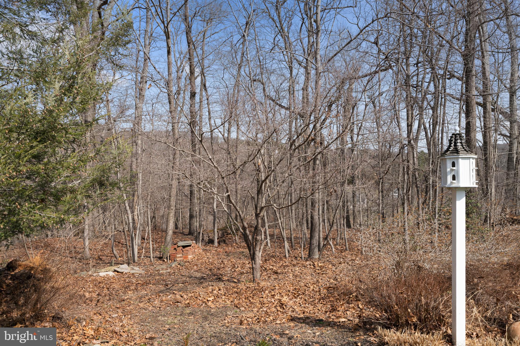 WHITE HALL - Residential