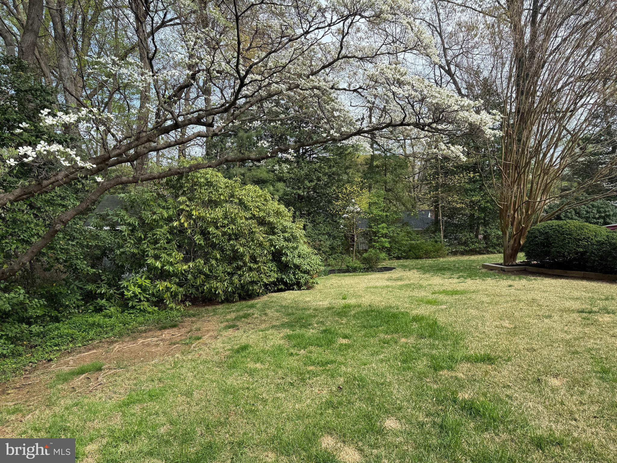 MANTUA - Residential