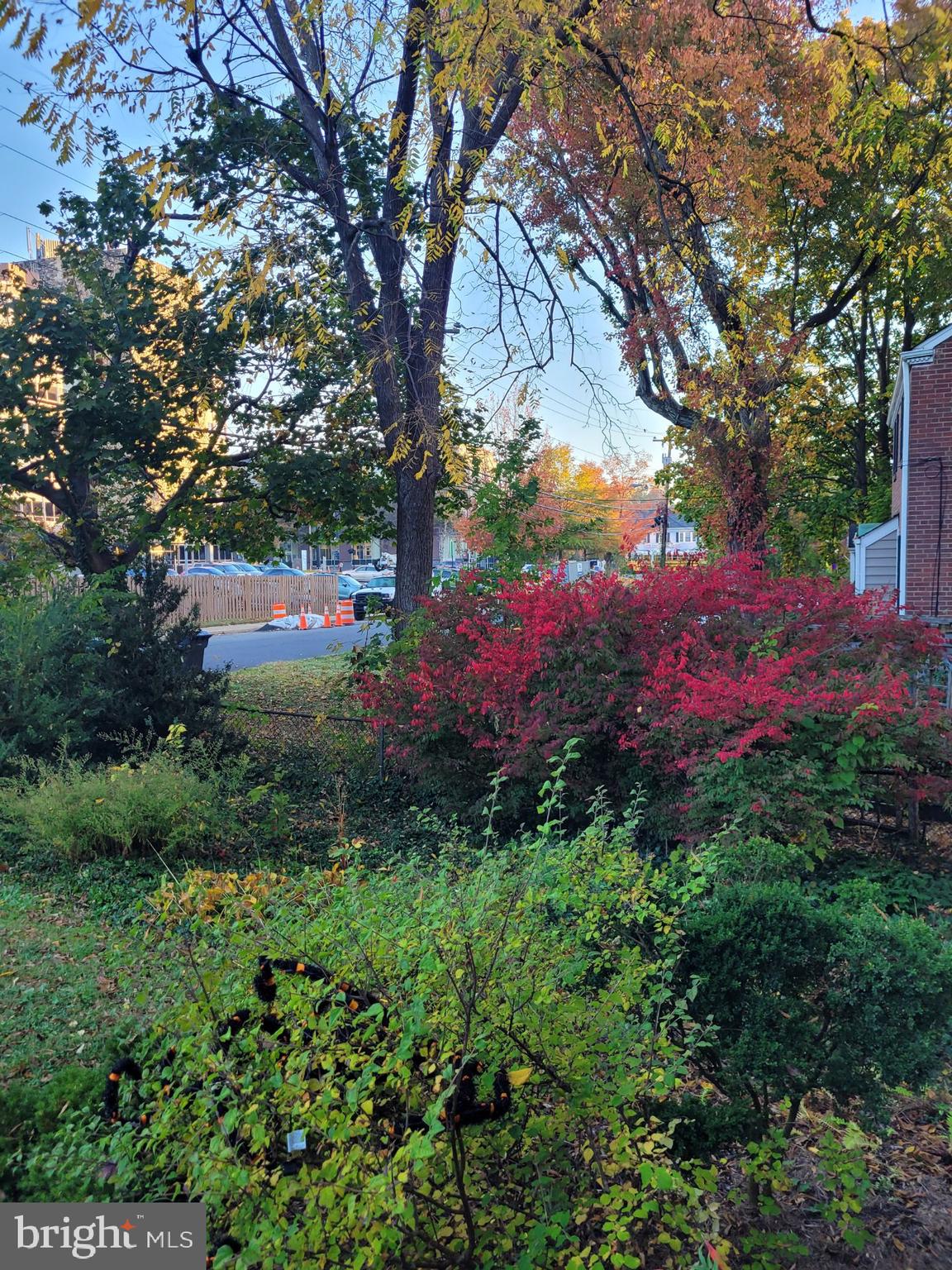 LARCHMONT TERRACE - Residential