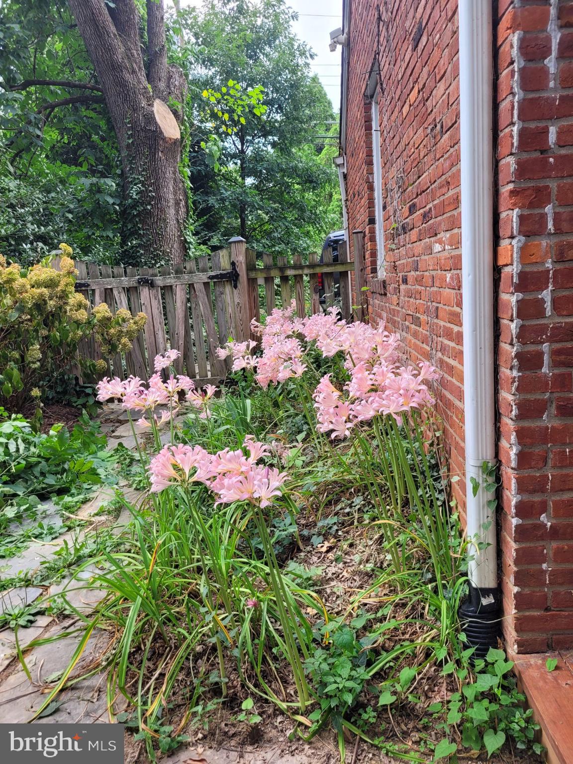 LARCHMONT TERRACE - Residential