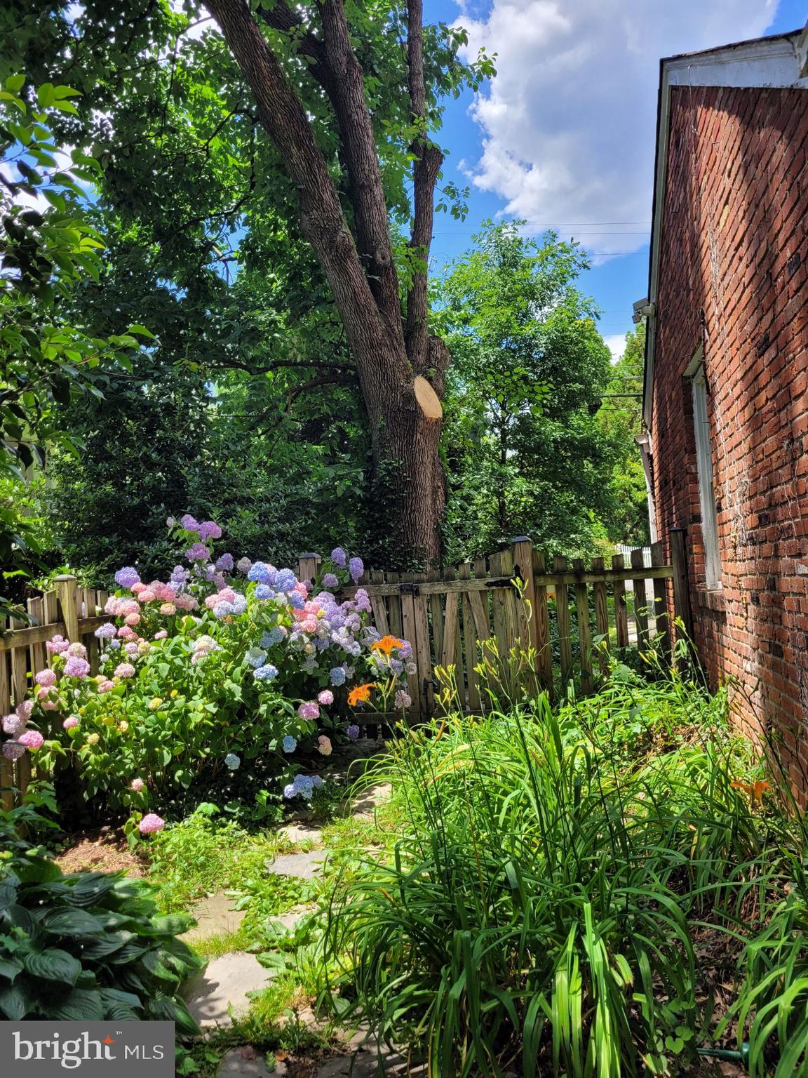 LARCHMONT TERRACE - Residential