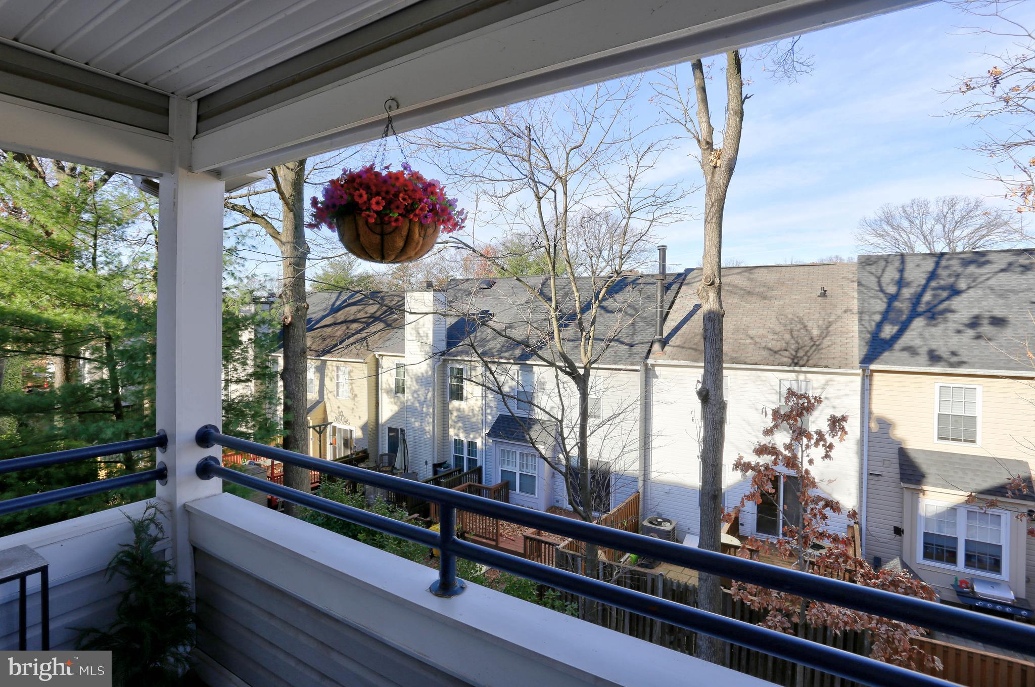 LIONS GATE - Residential