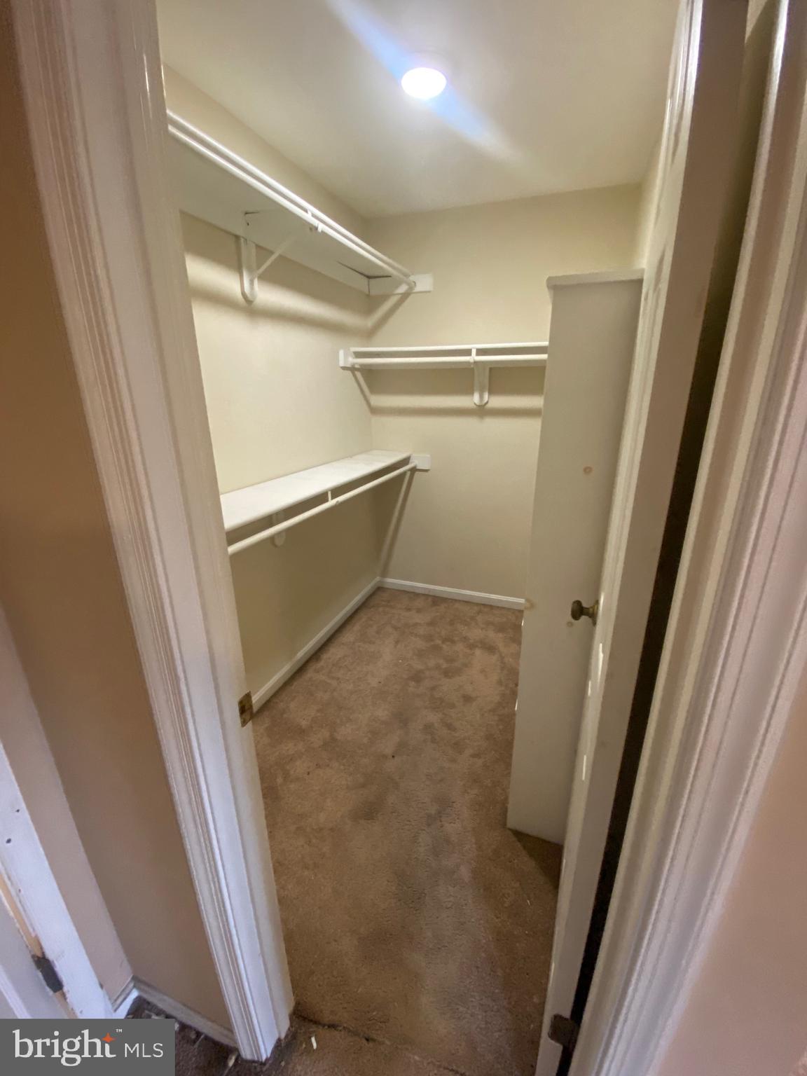 3055 EUTAW FOREST DRIVE