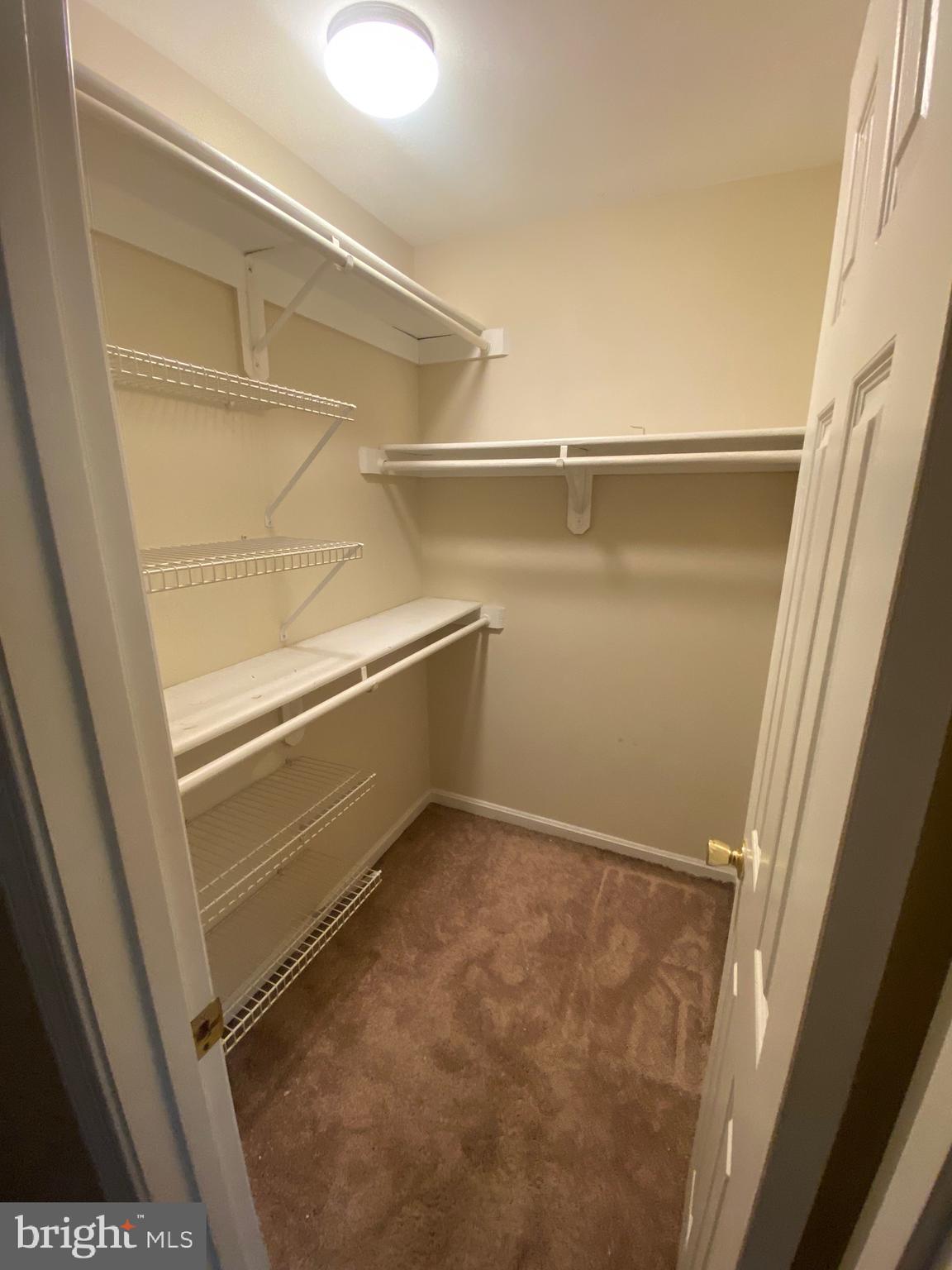 3055 EUTAW FOREST DRIVE