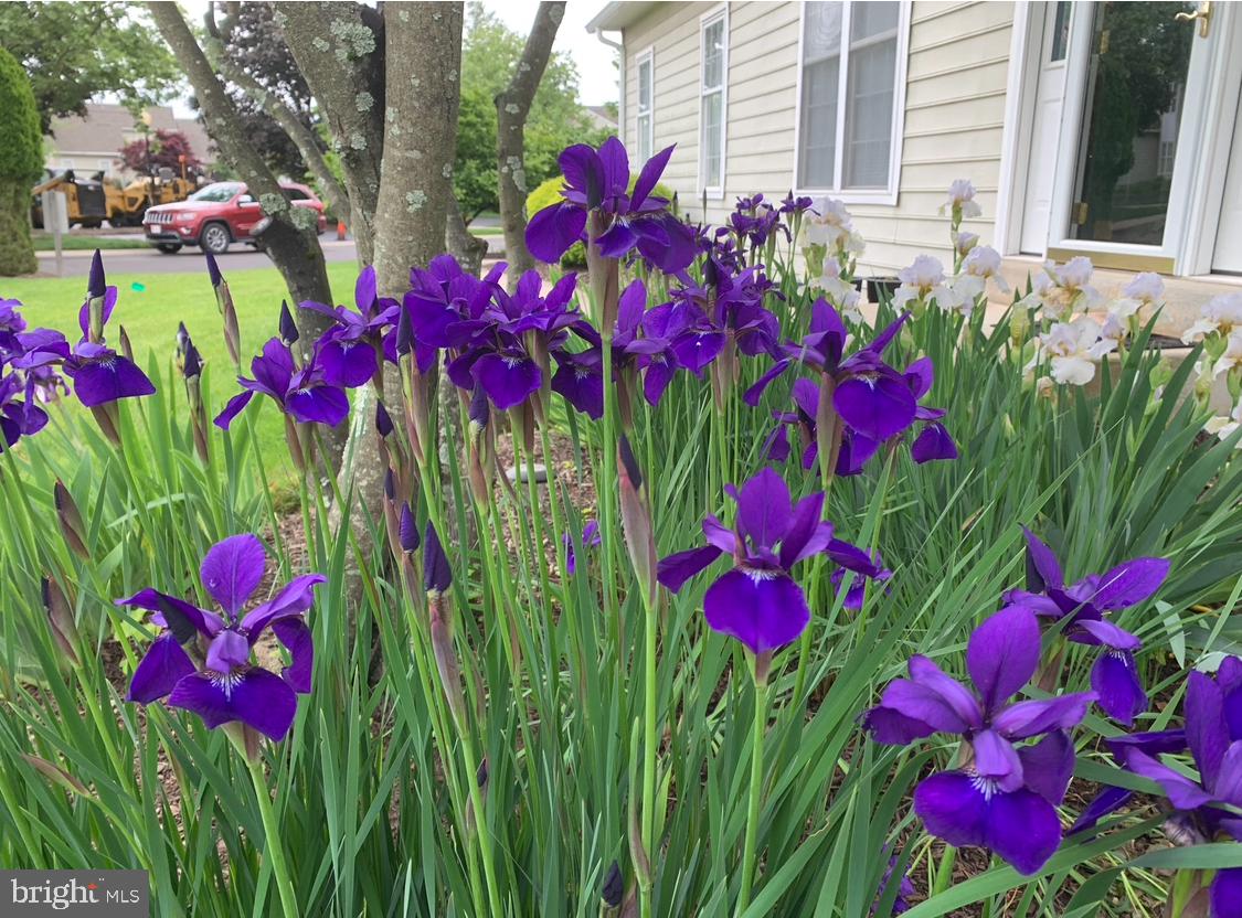 BLUE BELL CC - Residential