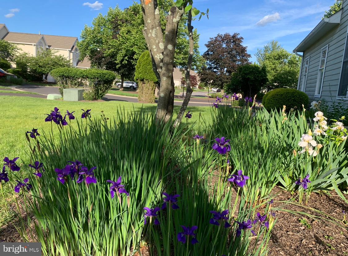 BLUE BELL CC - Residential