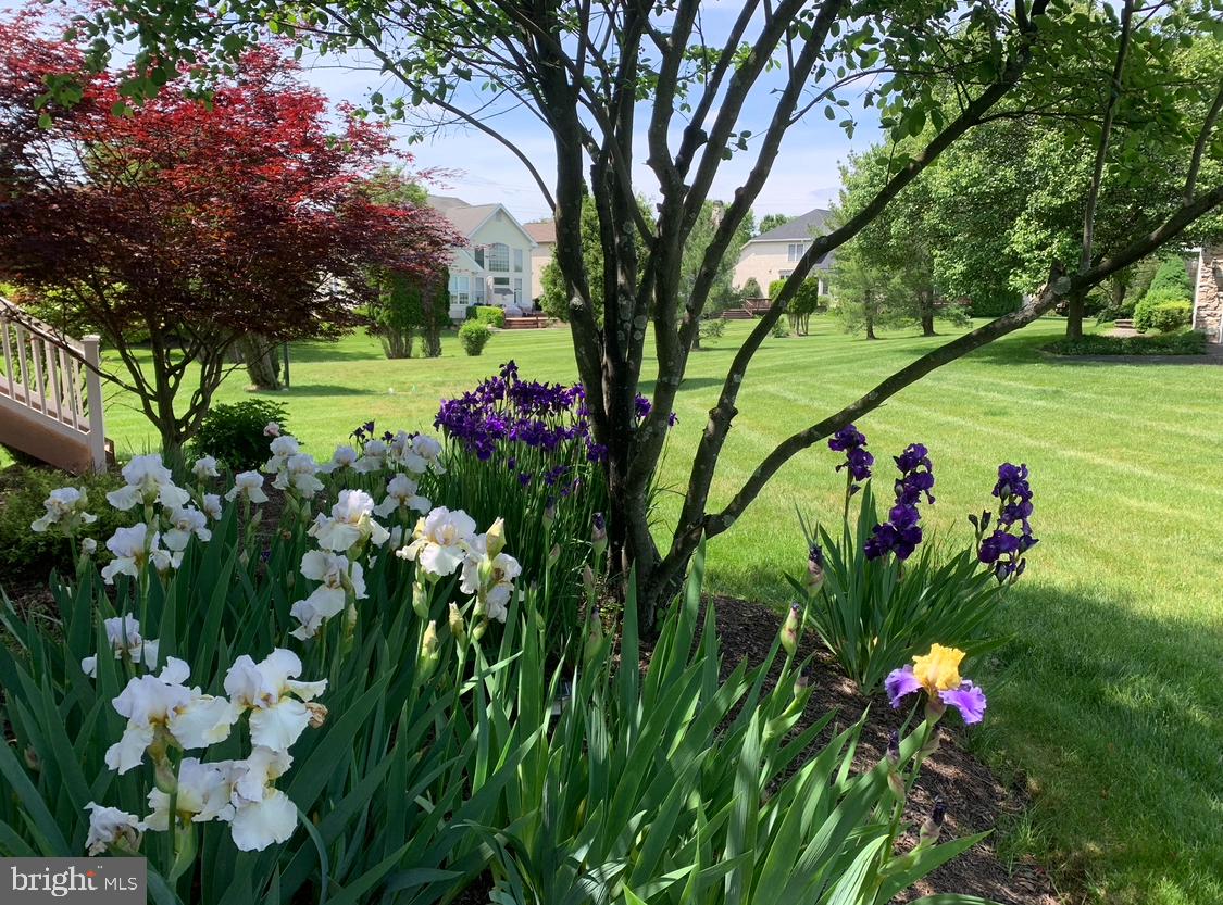 BLUE BELL CC - Residential