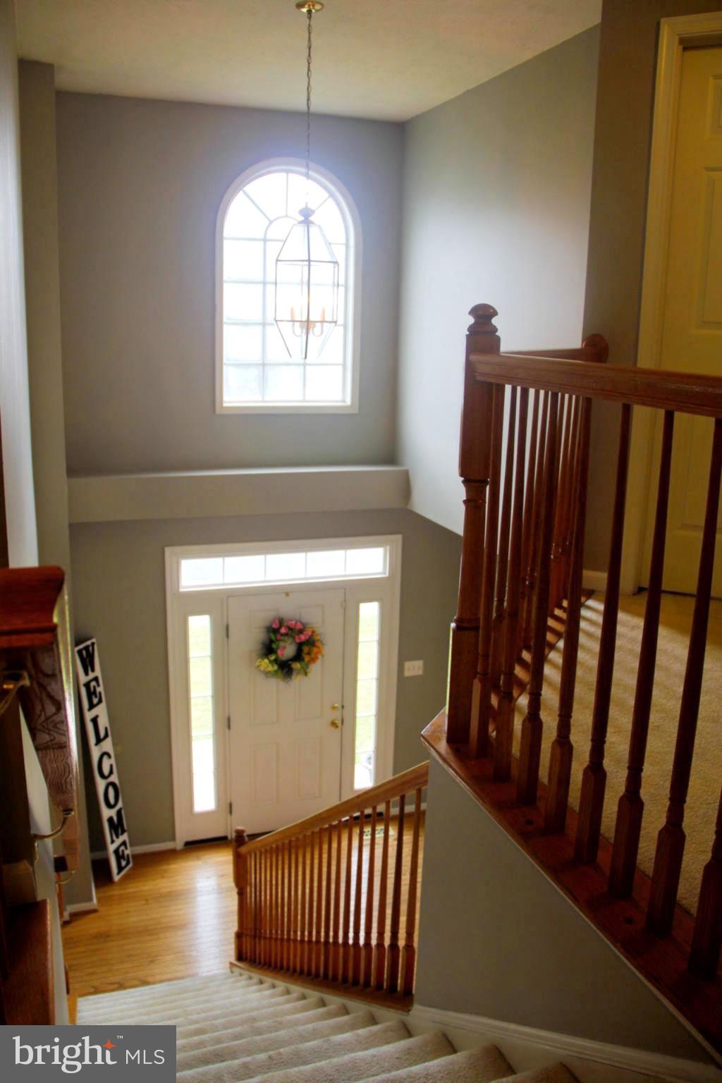 WHITAKER WOODS - Residential