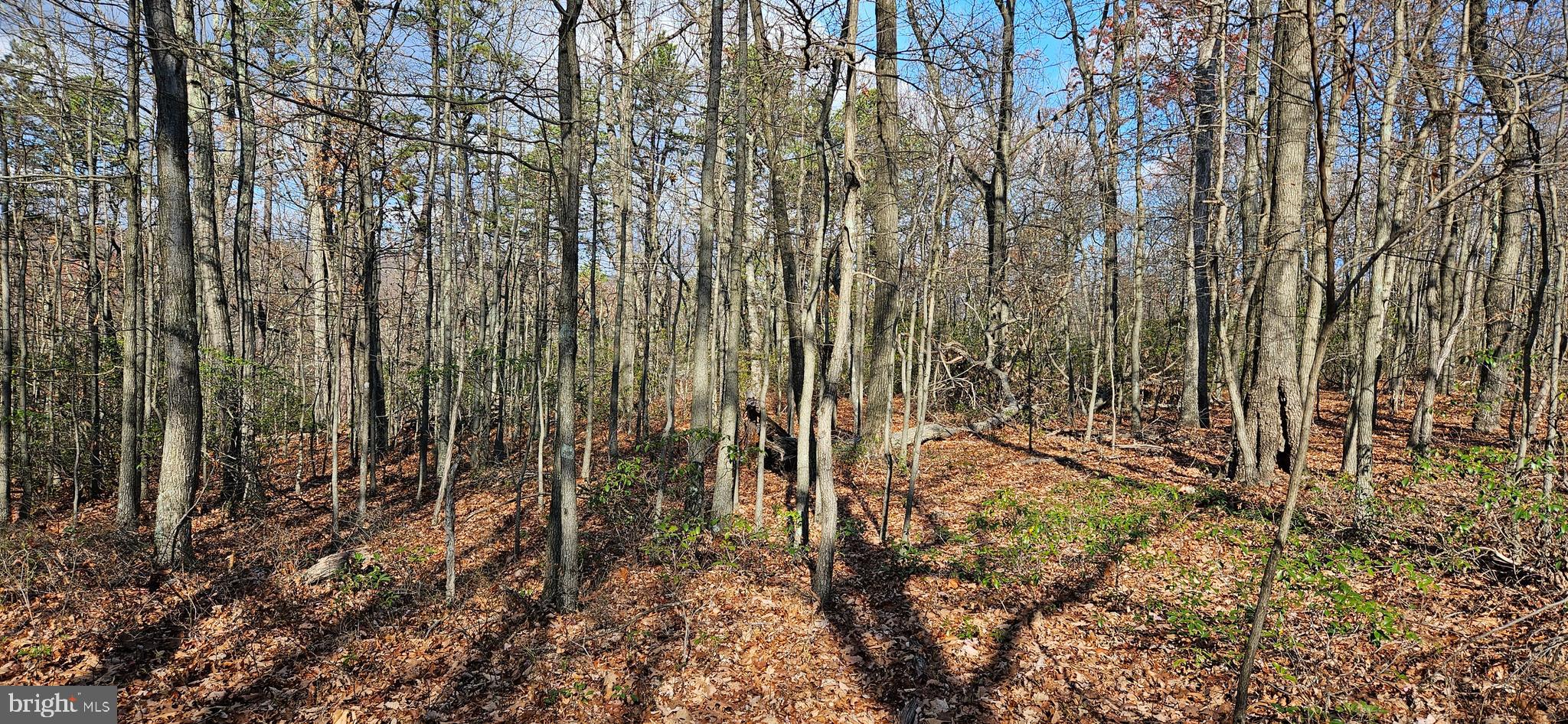 NONE AVAILABLE - Land