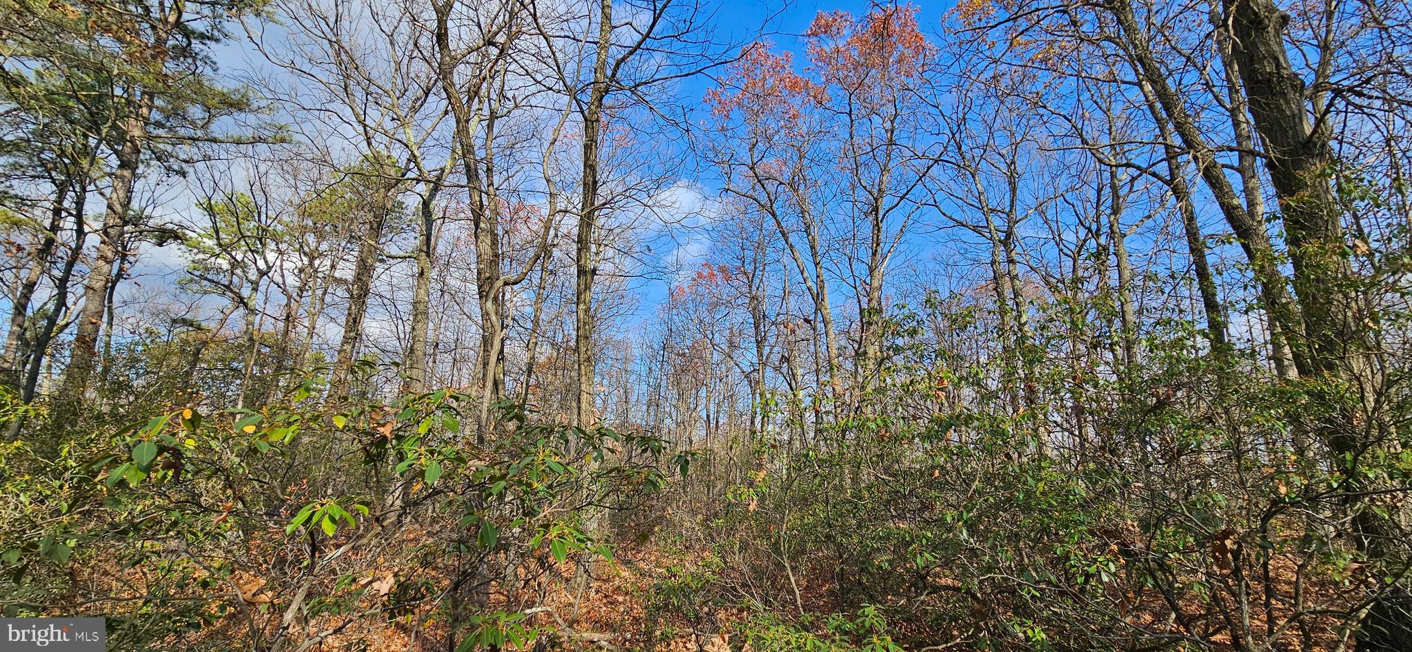 NONE AVAILABLE - Land