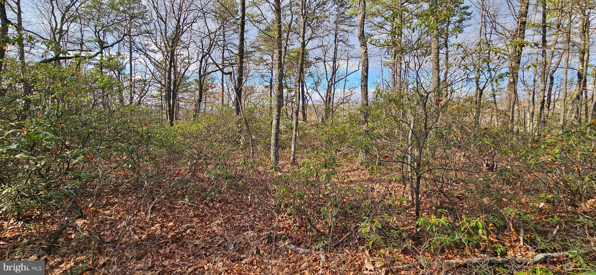 NONE AVAILABLE - Land