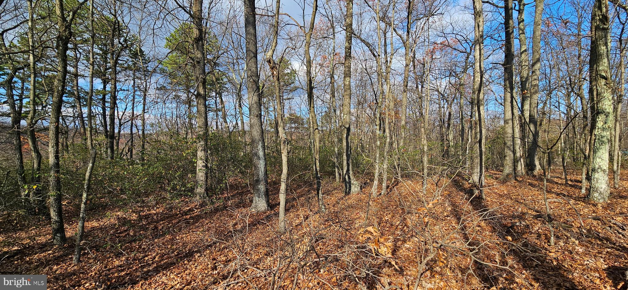 NONE AVAILABLE - Land