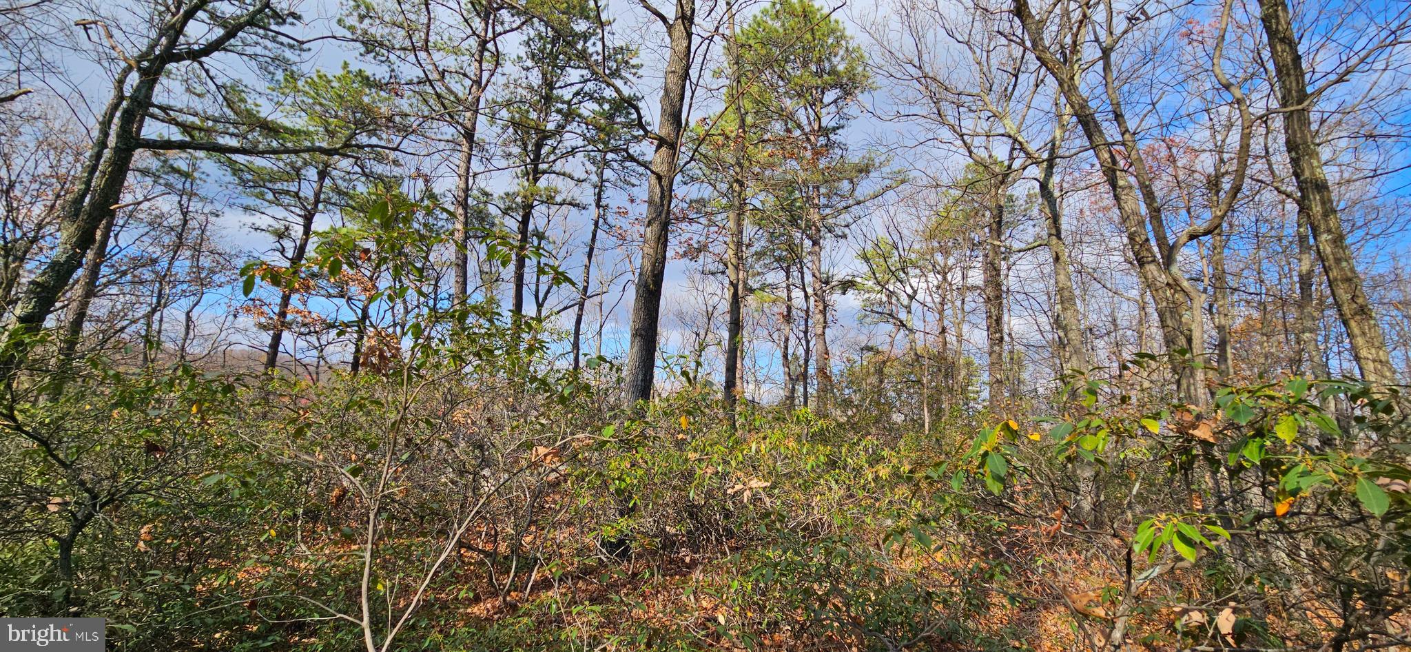 NONE AVAILABLE - Land